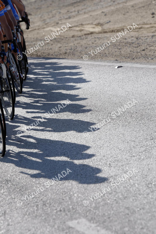 Shadow003p.jpg